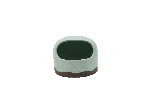 lIttle pet hamsters feeding bowl in light green color