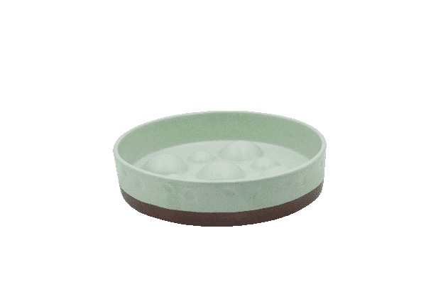 Slow feeding bowl in light green
