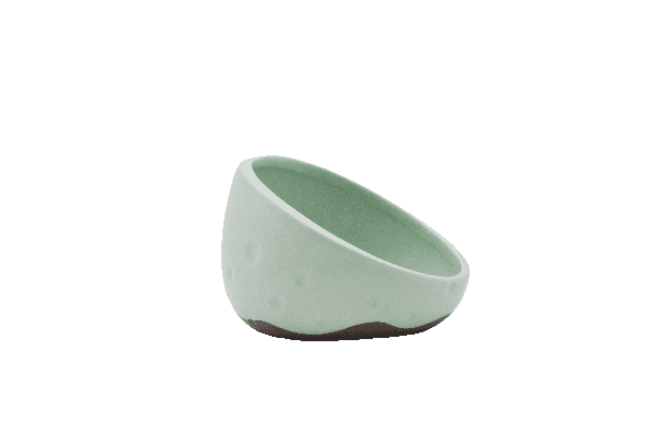 light green uneven rim dog bowl 