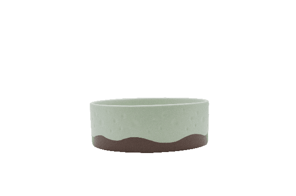 Mixed color dog bowl in light green
